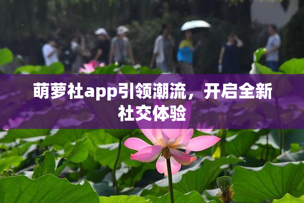 萌萝社app引领潮流，开启全新社交体验
