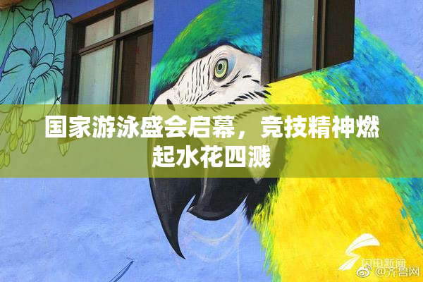 国家游泳盛会启幕，竞技精神燃起水花四溅