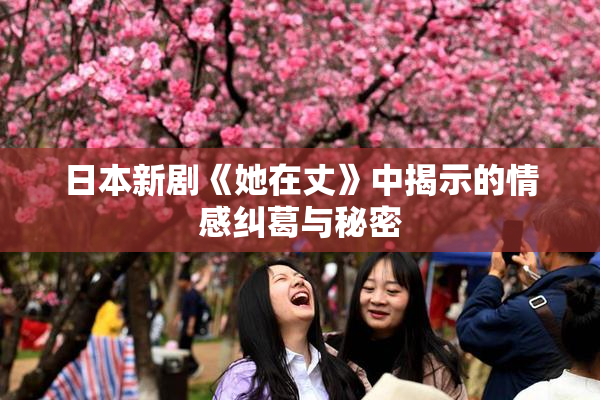日本新剧《她在丈》中揭示的情感纠葛与秘密
