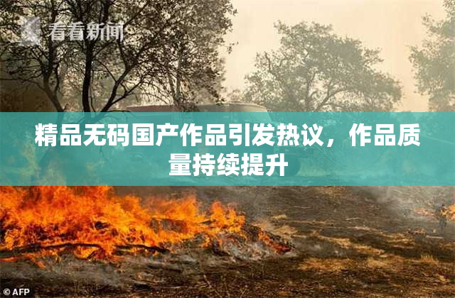 精品无码国产作品引发热议，作品质量持续提升