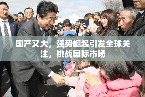 国产又大，强势崛起引发全球关注，挑战国际市场