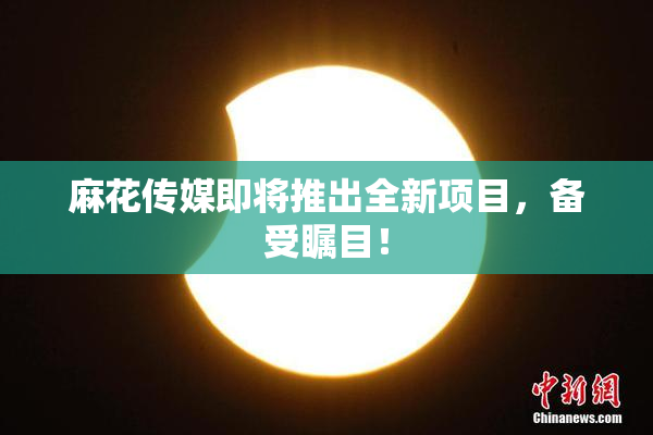 麻花传媒即将推出全新项目，备受瞩目！