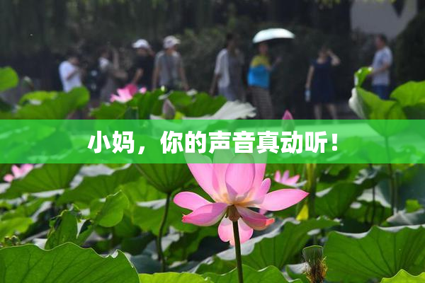 小妈，你的声音真动听！