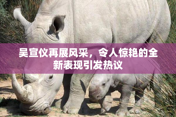吴宣仪再展风采，令人惊艳的全新表现引发热议