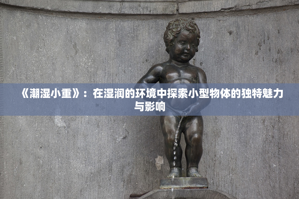 《潮湿小重》：在湿润的环境中探索小型物体的独特魅力与影响