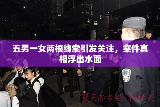 五男一女两根线索引发关注，案件真相浮出水面