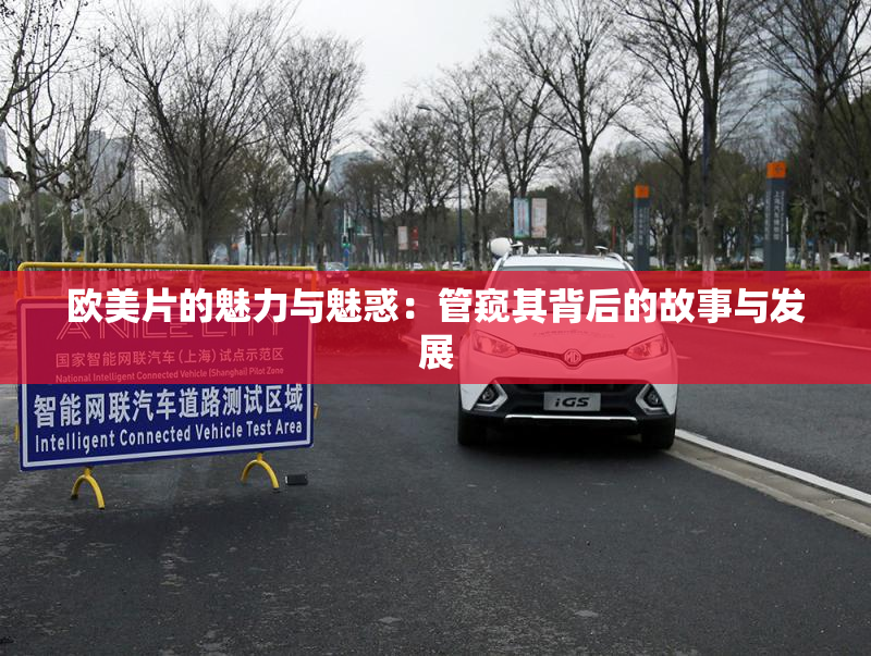 欧美片的魅力与魅惑：管窥其背后的故事与发展