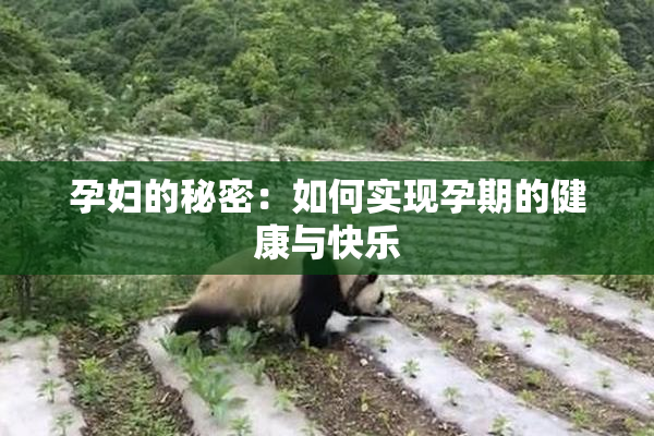 孕妇的秘密：如何实现孕期的健康与快乐