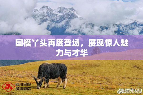 国模丫头再度登场，展现惊人魅力与才华