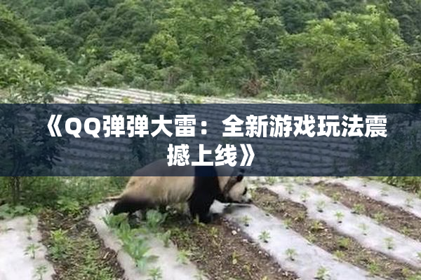 《QQ弹弹大雷：全新游戏玩法震撼上线》
