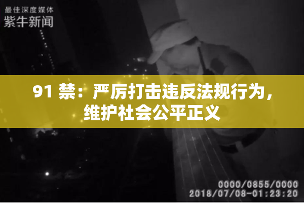 91 禁：严厉打击违反法规行为，维护社会公平正义