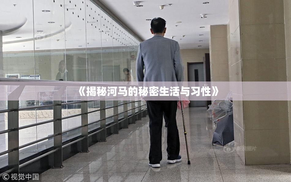 《揭秘河马的秘密生活与习性》