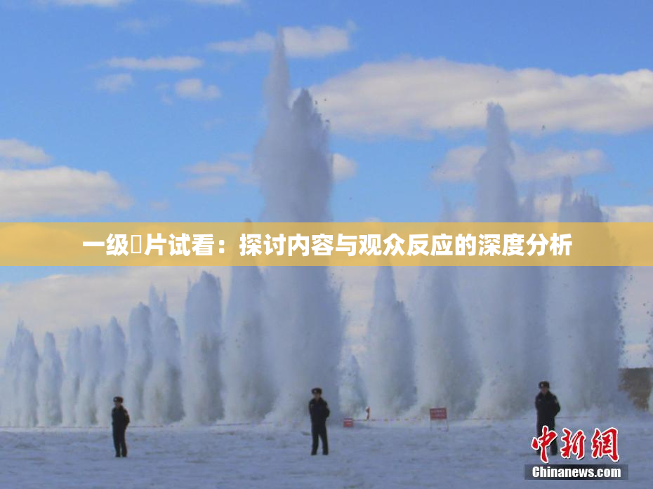 一级婬片试看：探讨内容与观众反应的深度分析