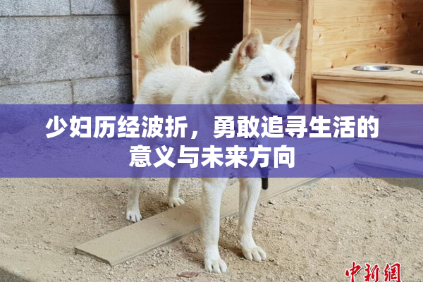 少妇历经波折，勇敢追寻生活的意义与未来方向
