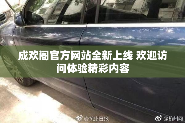 成欢阁官方网站全新上线 欢迎访问体验精彩内容
