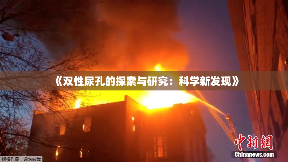 《双性尿孔的探索与研究：科学新发现》