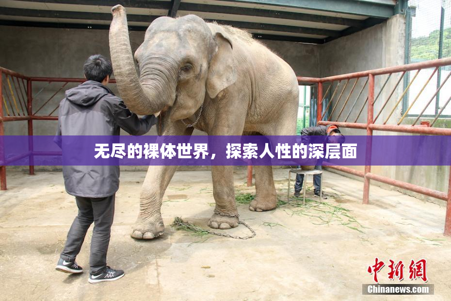 无尽的裸体世界，探索人性的深层面