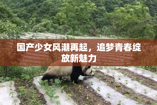 国产少女风潮再起，追梦青春绽放新魅力