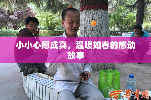 小小心愿成真，温暖如春的感动故事