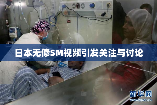 日本无修SM视频引发关注与讨论
