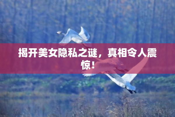 揭开美女隐私之谜，真相令人震惊！