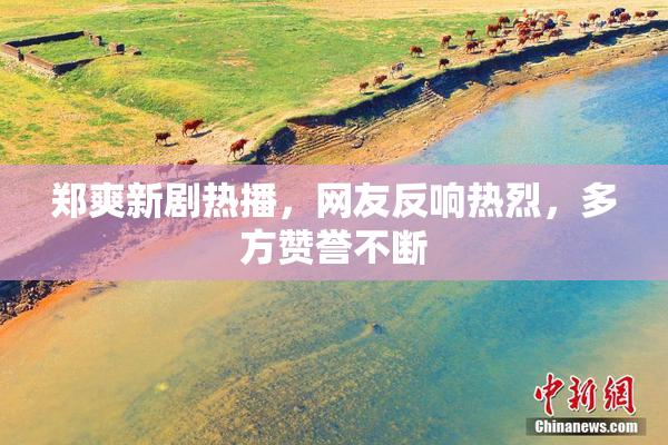 郑爽新剧热播，网友反响热烈，多方赞誉不断