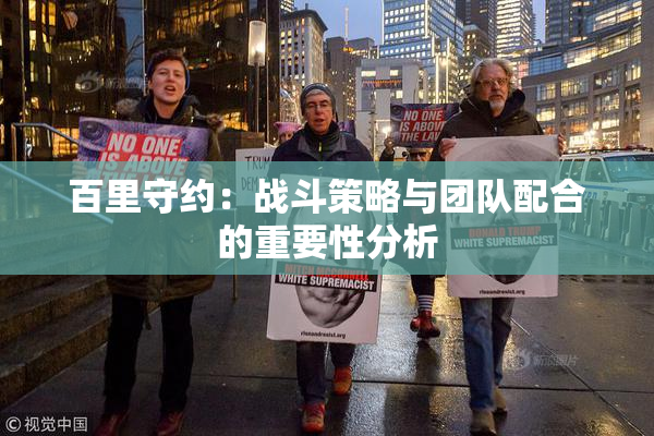 百里守约：战斗策略与团队配合的重要性分析