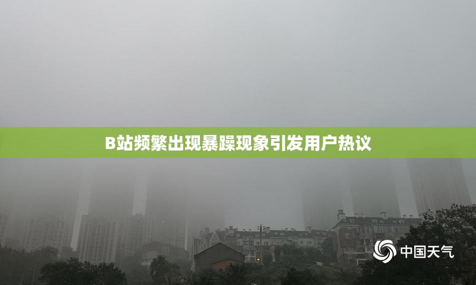 B站频繁出现暴躁现象引发用户热议