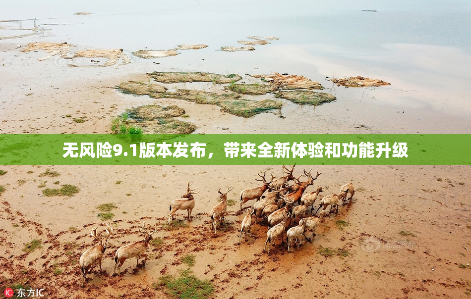无风险9.1版本发布，带来全新体验和功能升级