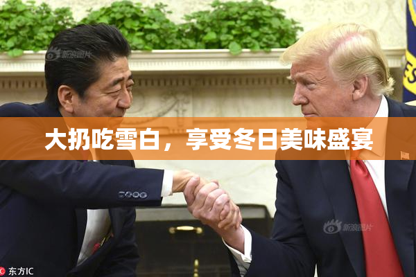 大扔吃雪白，享受冬日美味盛宴