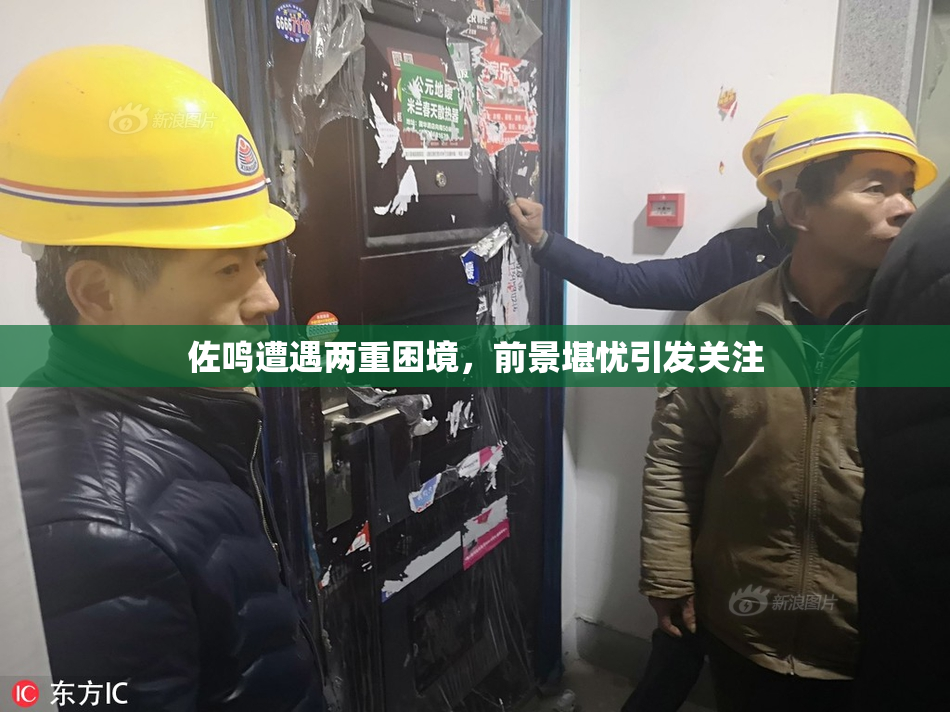 佐鸣遭遇两重困境，前景堪忧引发关注