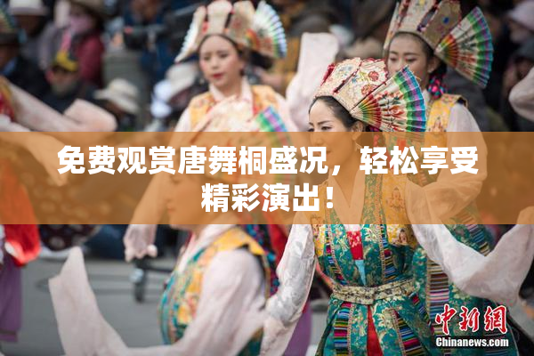 免费观赏唐舞桐盛况，轻松享受精彩演出！