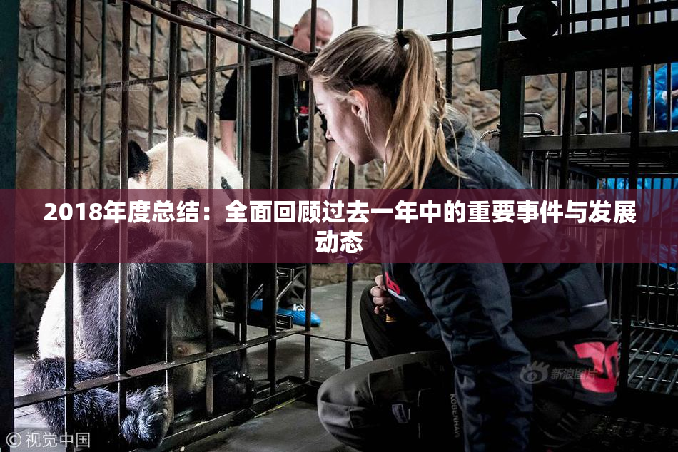 2018年度总结：全面回顾过去一年中的重要事件与发展动态