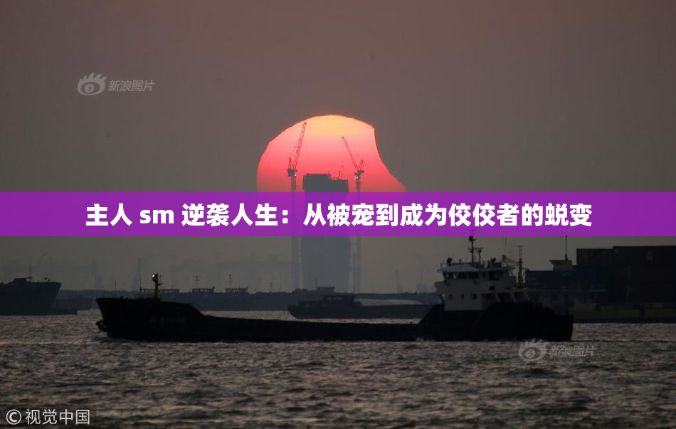 主人 sm 逆袭人生：从被宠到成为佼佼者的蜕变