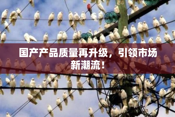 国产产品质量再升级，引领市场新潮流！