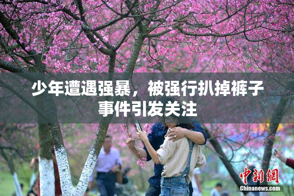 少年遭遇强暴，被强行扒掉裤子事件引发关注