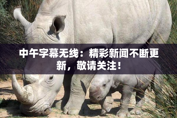 中午字幕无线：精彩新闻不断更新，敬请关注！
