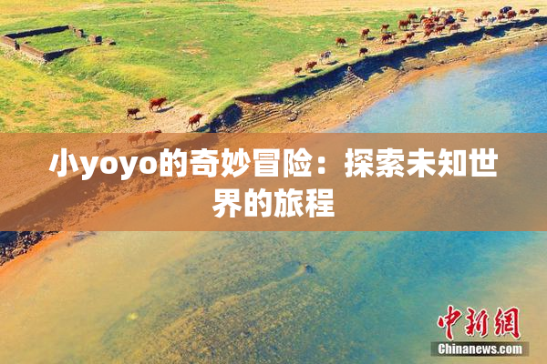 小yoyo的奇妙冒险：探索未知世界的旅程