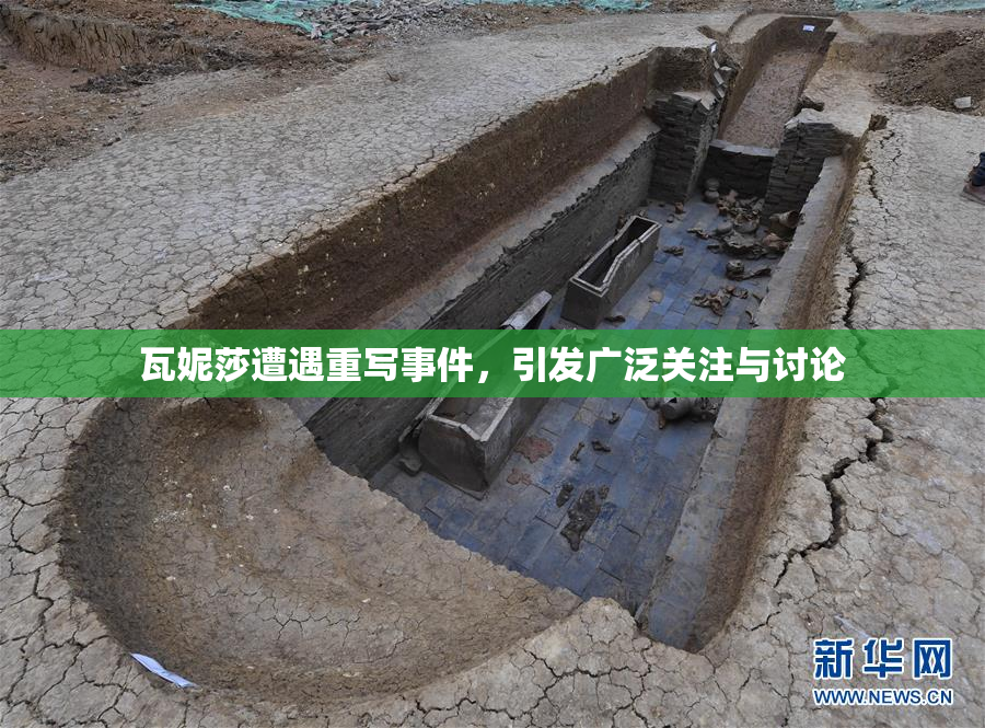 瓦妮莎遭遇重写事件，引发广泛关注与讨论