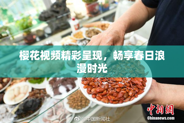 樱花视频精彩呈现，畅享春日浪漫时光