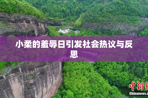 小柔的羞辱日引发社会热议与反思