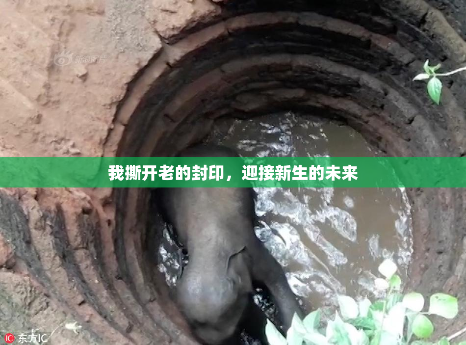 我撕开老的封印，迎接新生的未来