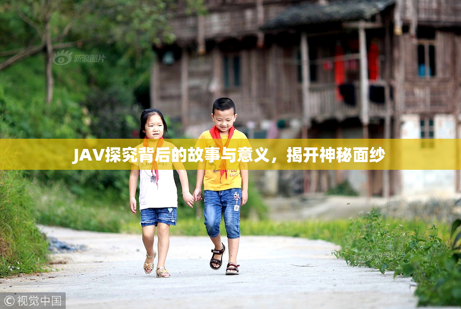 JAV探究背后的故事与意义，揭开神秘面纱
