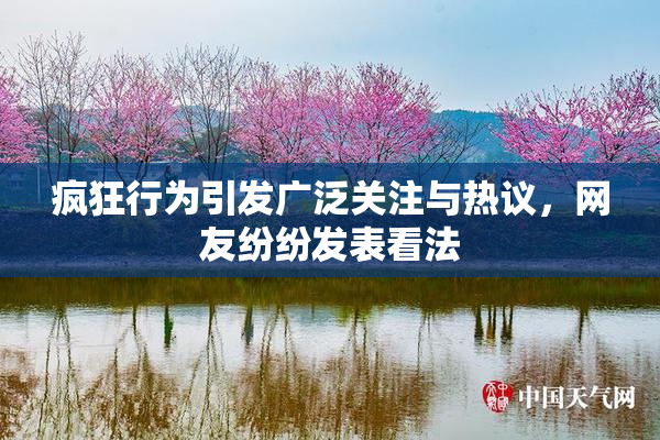 疯狂行为引发广泛关注与热议，网友纷纷发表看法