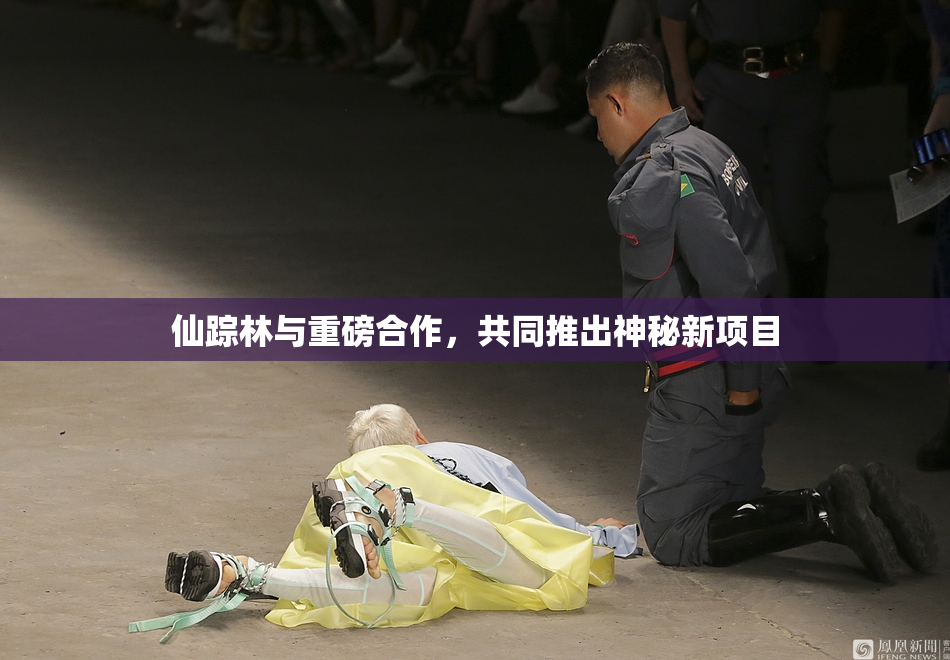 仙踪林与重磅合作，共同推出神秘新项目