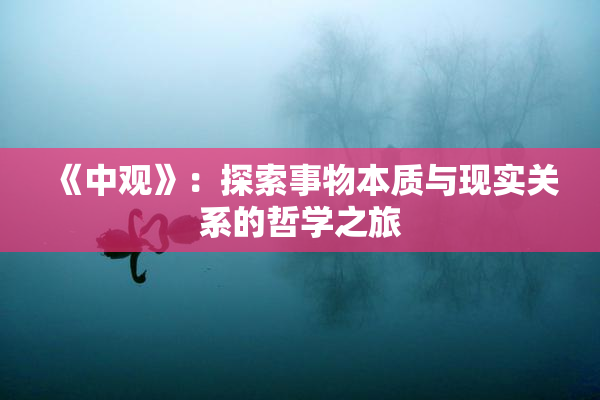 《中观》：探索事物本质与现实关系的哲学之旅