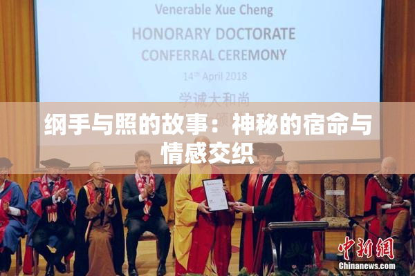 纲手与照的故事：神秘的宿命与情感交织