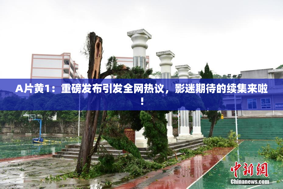 A片黄1：重磅发布引发全网热议，影迷期待的续集来啦!