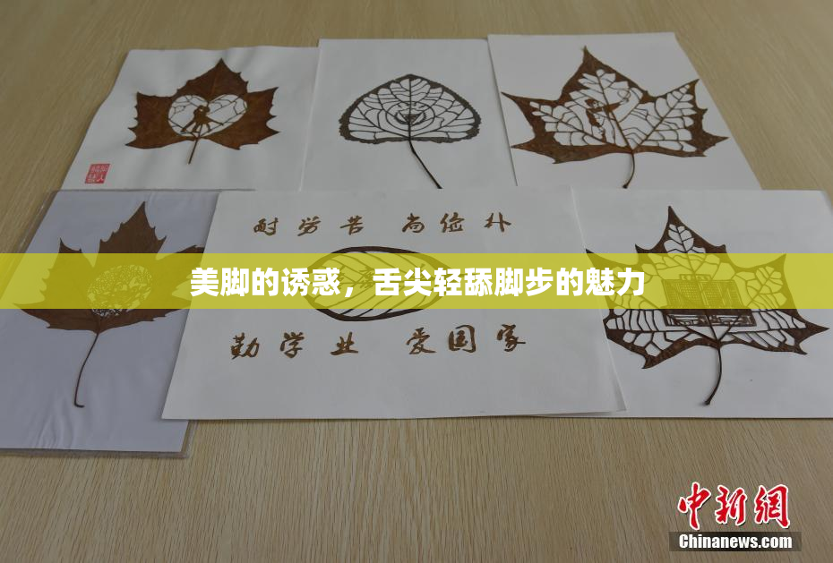 美脚的诱惑，舌尖轻舔脚步的魅力