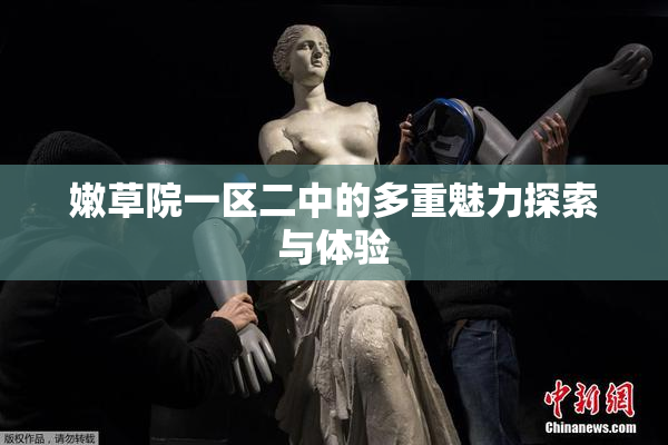嫩草院一区二中的多重魅力探索与体验
